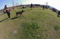 /album/fotogalerie/img-5057-jpg/