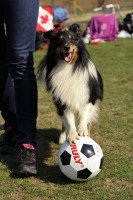 /album/fotogalerie/img-5294-jpg/