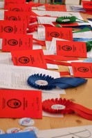 /album/fotogalerie/dsc-0601-jpg/